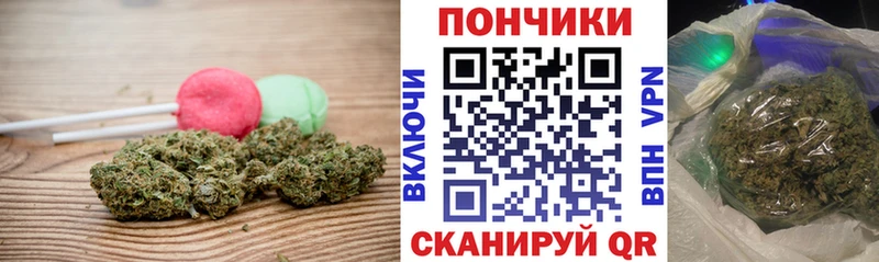 где найти наркотики Куртамыш Еда ТГК конопля