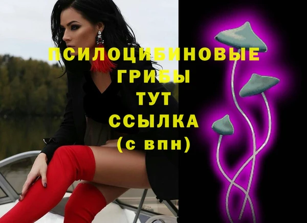 apvp Михайловск