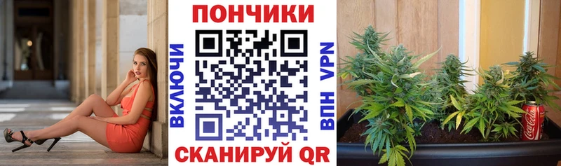 Бошки Шишки Amnesia  Куртамыш 